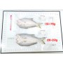 日式午仔魚一夜干(150-190G/尾)